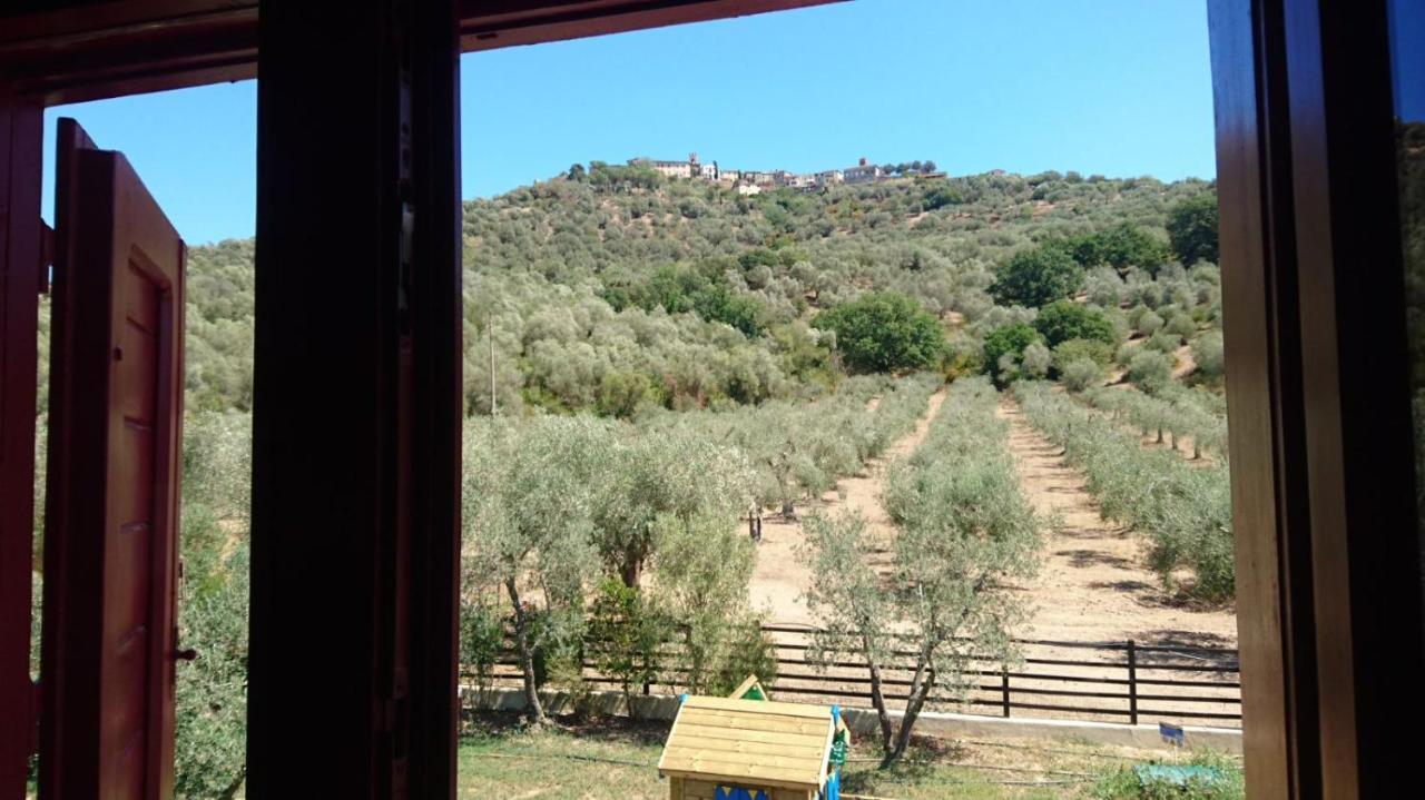 Il Barbagianni Bed and Breakfast Montepescali Buitenkant foto