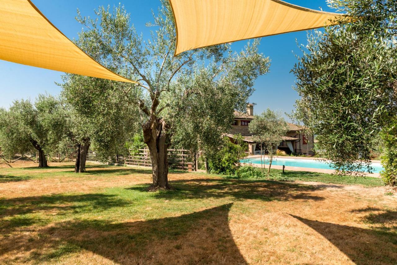 Il Barbagianni Bed and Breakfast Montepescali Buitenkant foto