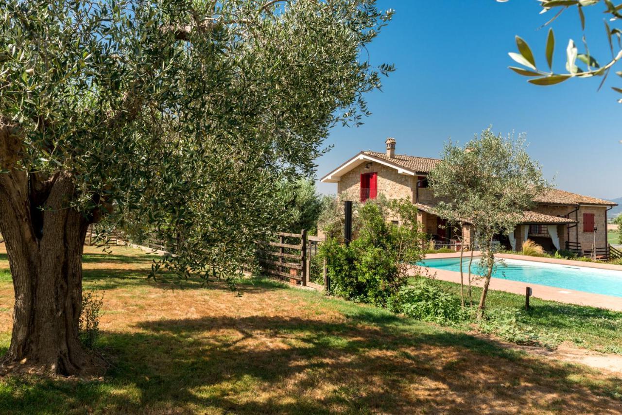 Il Barbagianni Bed and Breakfast Montepescali Buitenkant foto